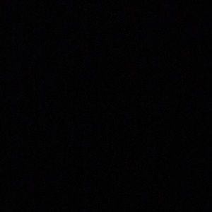 Meet your Posher, Tony